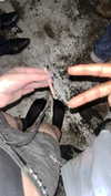 onlyway2liv Altpins Profile Picture