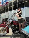 lyhythuedoxinh Altpins Profile Picture