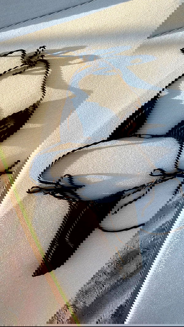 taylor.creeden taylor.creeden archive image