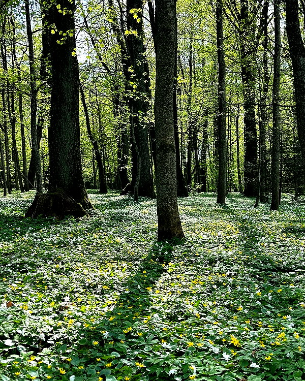 efimkovsskaya instagram image archive image