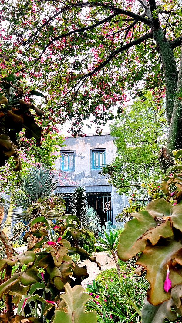 pia__kim archive image