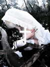 angelwithashotgunxx Altpins Profile Picture