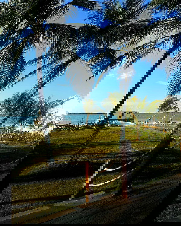 paigeinsco paigeinsco archive image