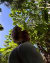 rouxroux.tv Altpins Profile Picture