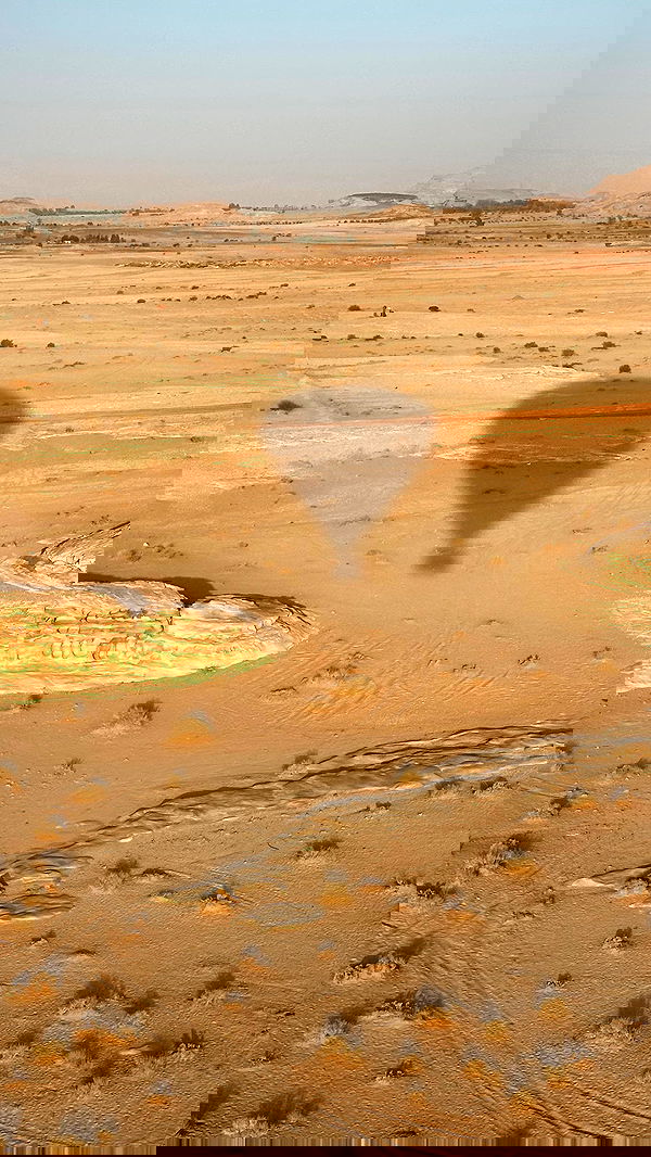 taylor.creeden taylor.creeden archive image