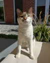 emmamarshalluk Altpins Profile Picture