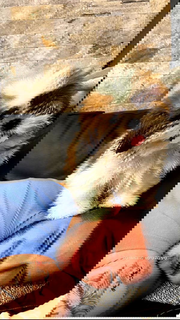 noammalka___ noammalka___ archive image