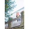 kan.alyss Altpins Profile Picture