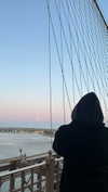 lollinski Altpins Profile Picture