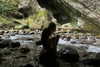 vvelum_ Altpins Profile Picture