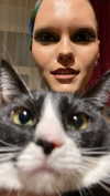 ptpchik Altpins Profile Picture
