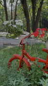 alisen.mari Altpins Profile Picture