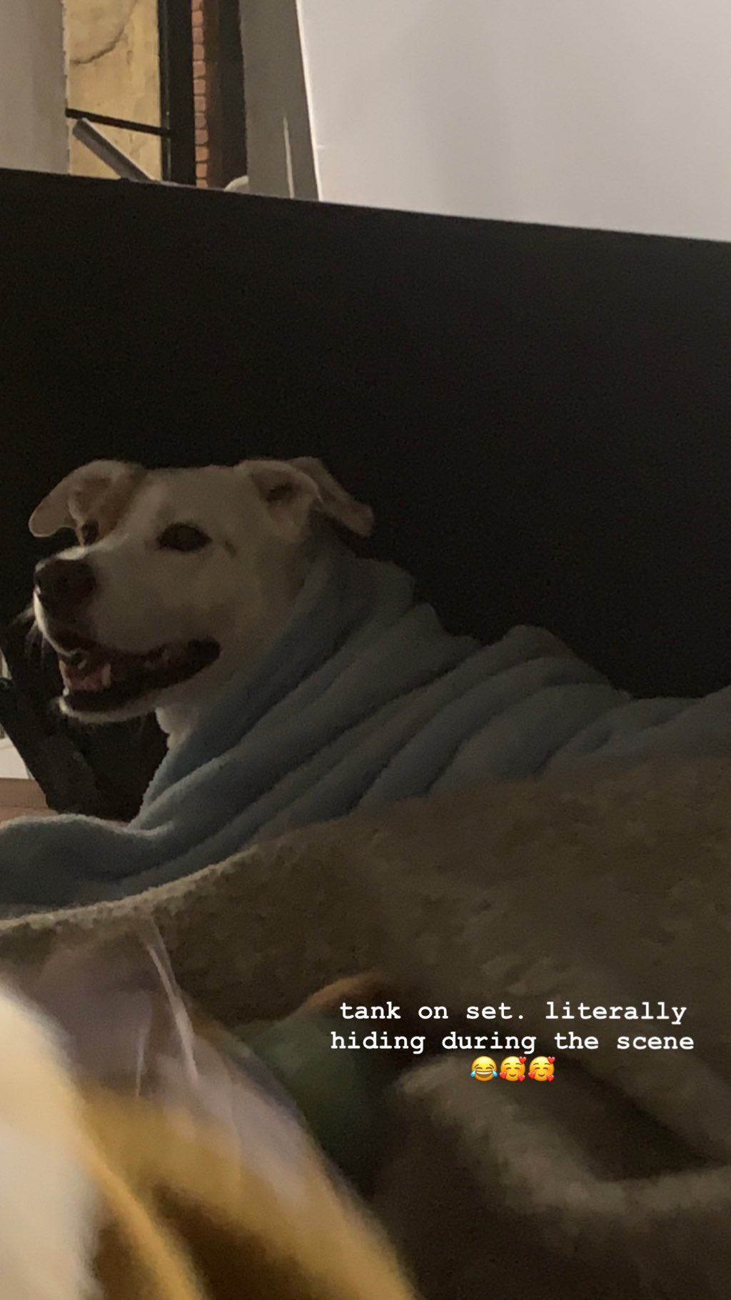 sydney_sweeney instagram image archive image