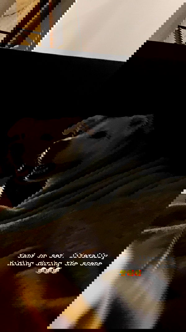 sydney_sweeney image ~ Altpins