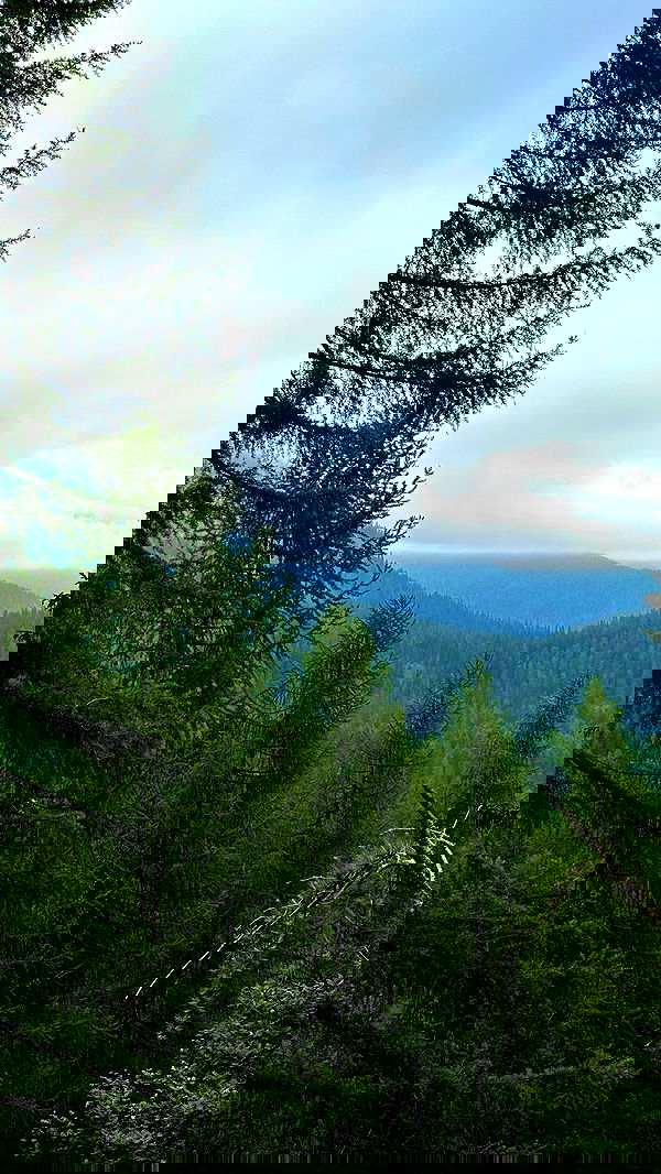 taylor.creeden taylor.creeden archive image