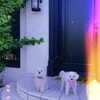 lucyhale Altpins Profile Picture