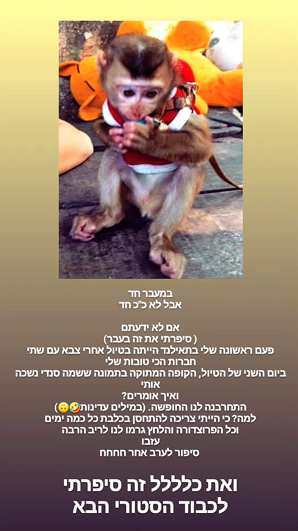 barzomer instagram image archive image