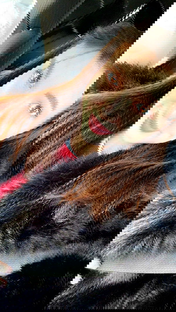 itsilanosh itsilanosh archive image