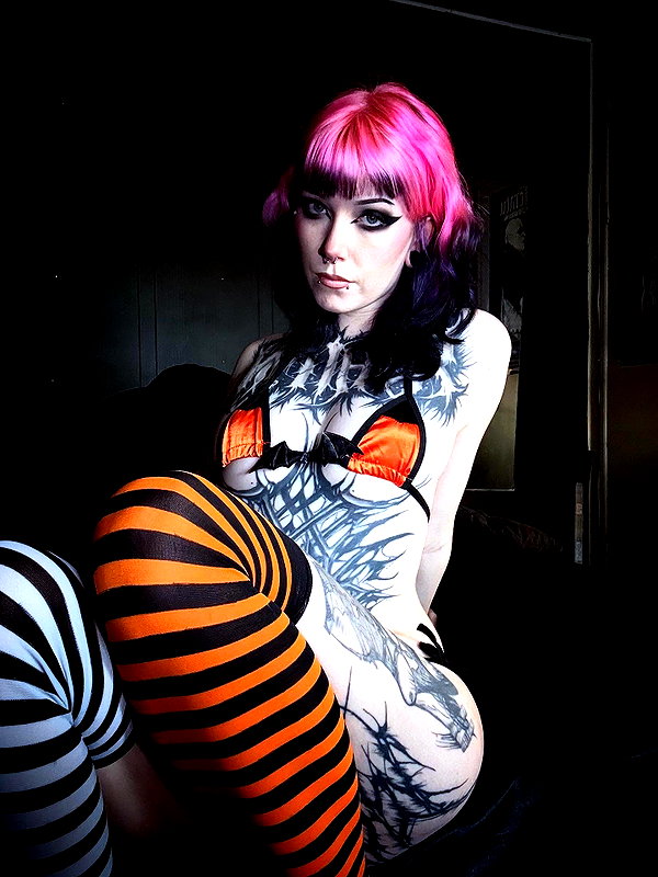 cerianex instagram image archive image