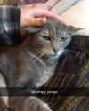 jahia_brown Altpins Profile Picture