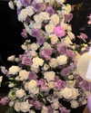 lyhythuedoxinh Altpins Profile Picture