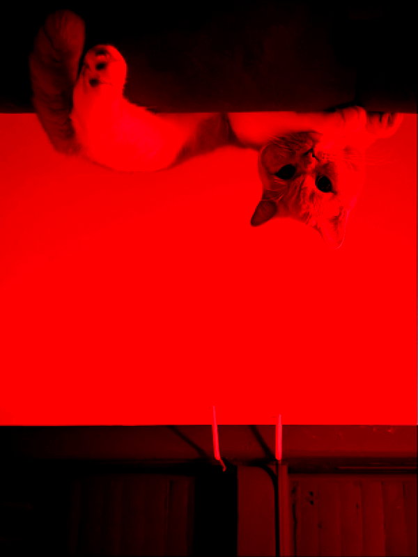 sabrvna instagram image archive image
