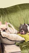 marilyn_damaged Altpins Profile Picture