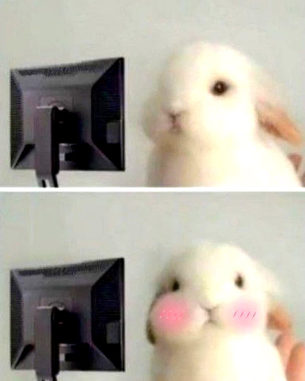bakabakafuwa instagram image archive image