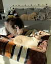katrina.zaiceva Altpins Profile Picture