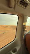 mishel_d_ Altpins Profile Picture