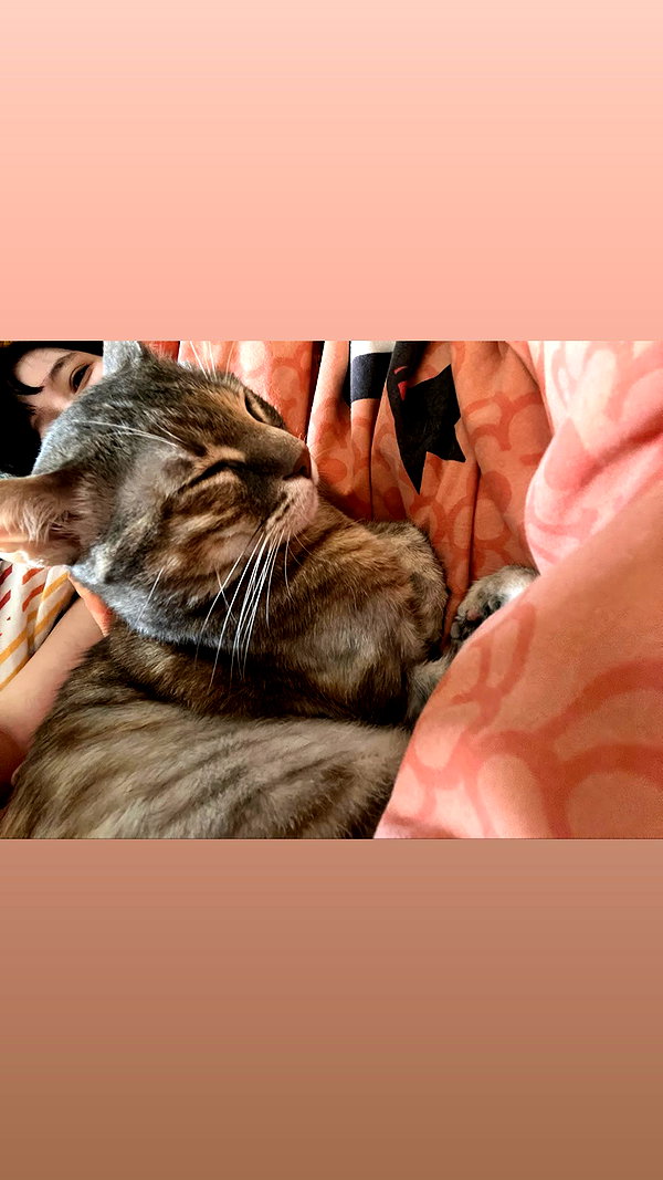 Archived image from @notchicore on Instagram