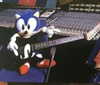 itsnokiiia Altpins Profile Picture