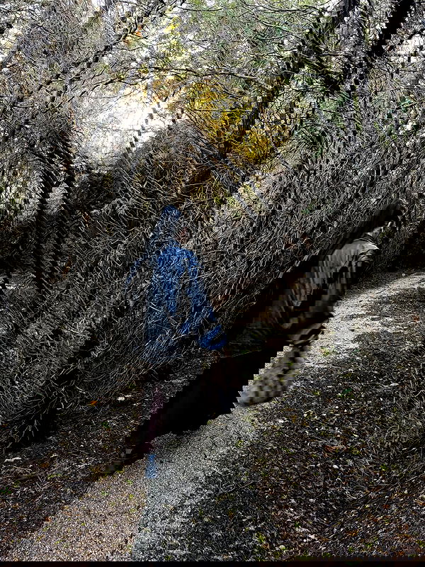 strawberryshanz strawberryshanz archive image