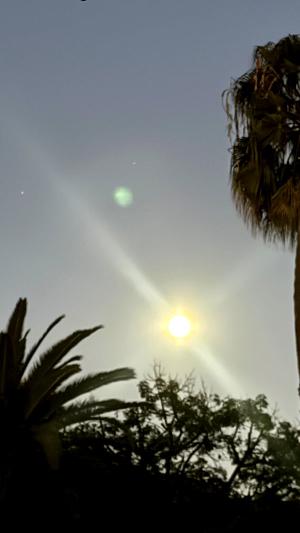 gabbyepstein instagram image archive image