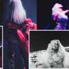 xtina Altpins Profile Picture