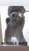 babynympho_archive Altpins Profile Picture