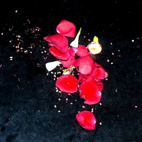 leni.bahr instagram image archive image