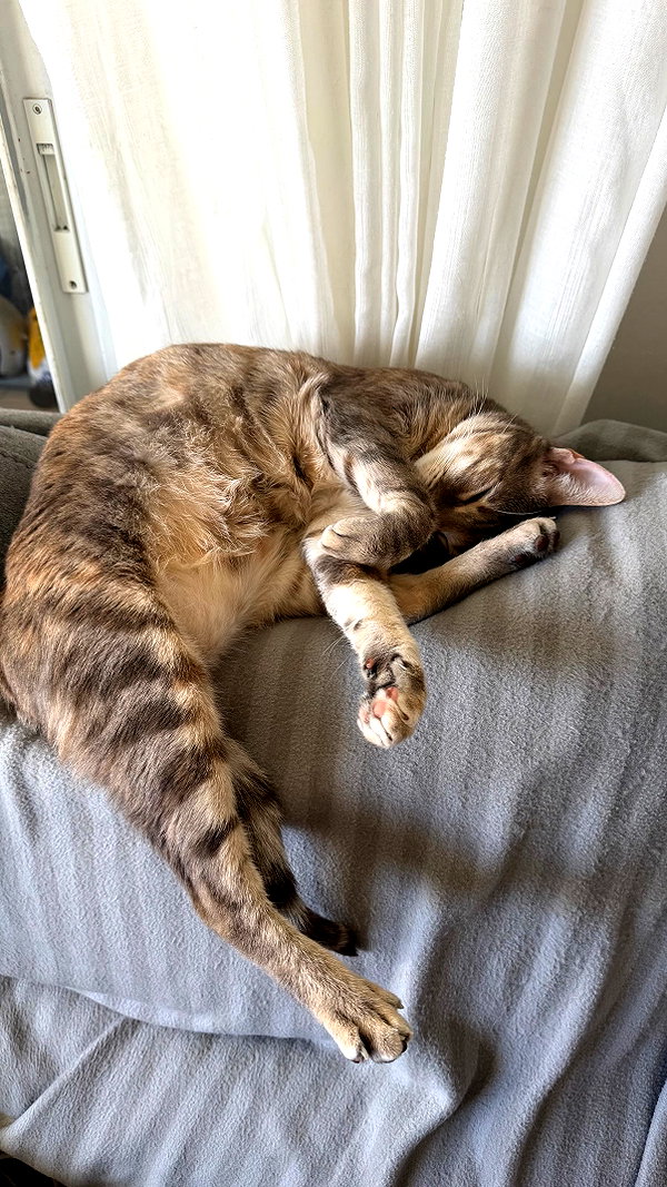 Archived image from @notchicore on Instagram