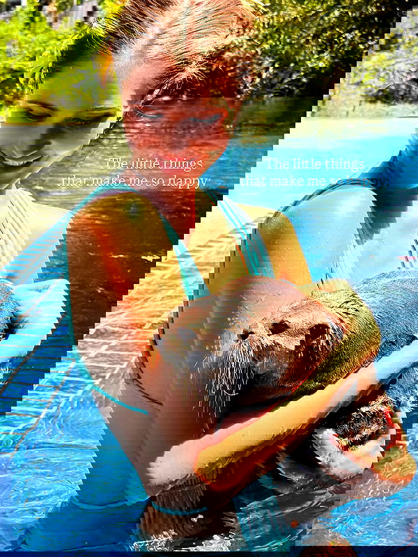 taylor.creeden taylor.creeden archive image