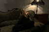 vvelum_ Altpins Profile Picture
