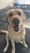 liza_kremer Altpins Profile Picture