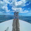 madelame Altpins Profile Picture