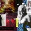 xtina Altpins Profile Picture