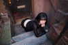 onlyway2liv Altpins Profile Picture