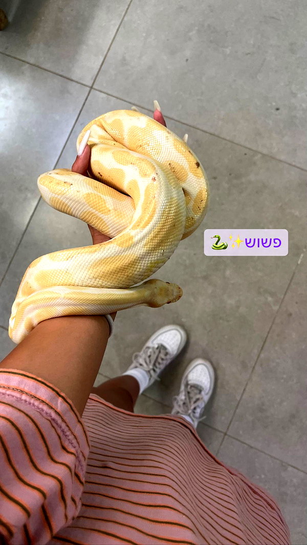 Archived image from @mika_franco_tattoos on Instagram