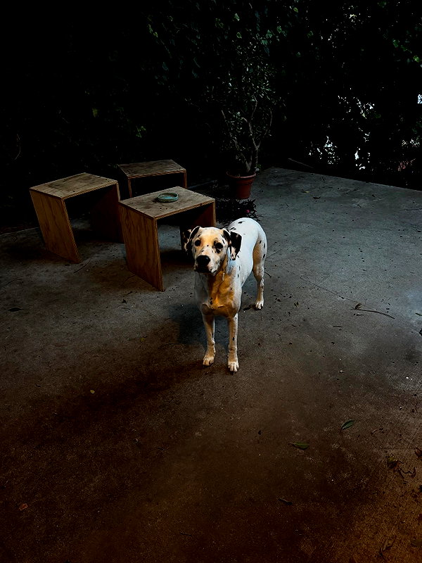 reneeebeller instagram image archive image