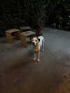 reneeebeller Altpins Profile Picture