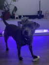 _m_a_y_c_ Altpins Profile Picture