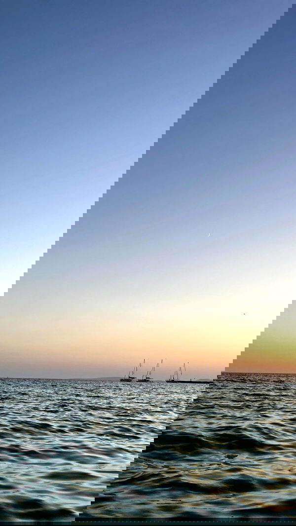 shunli__mei image ~ Altpins