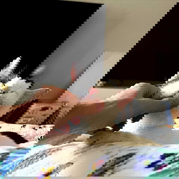 missnyxdawn missnyxdawn archive image